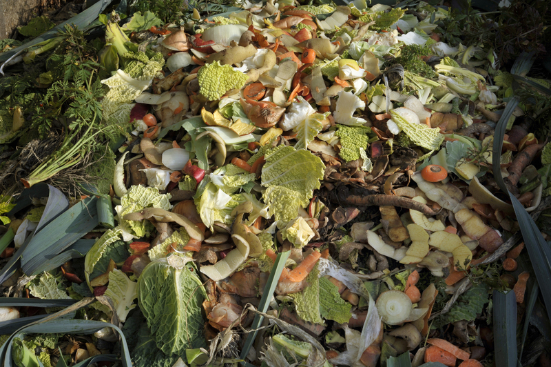 waste disposal Office waste