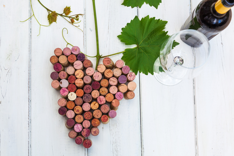 The Circular Economy of Wood Waste Utilization